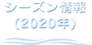 シーズン情報